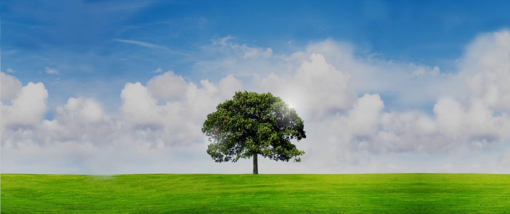 Genesis Tax House Accounting and Tax Service in Downtown Boca Raton Royal Palm Place