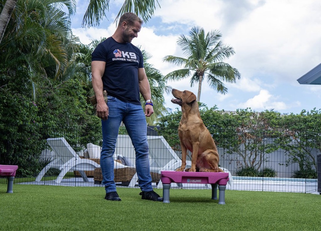 K9 Gunner Tactical Dog Training in Downtown Boca Raton Royal Palm Place
